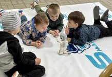 Programul Știință și Imaginație