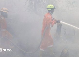Focurile de pădure sufocă Indonezia: peste 170.000 de cazuri de boli respiratorii înregistrate 0 (0)