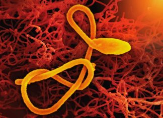 Epoca post-antibiotice: Cum luptăm cu super-bacteriile rezistente la medicamente?