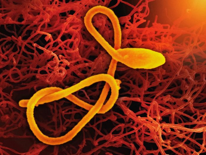 Epoca post-antibiotice: Cum luptăm cu super-bacteriile rezistente la medicamente?