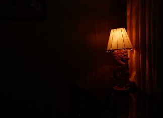 Misterul memoriei: Unde și cum stochează creierul amintirile noastre?