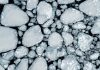 Paleoclimatologia: Cum ne ajută bulele de aer din gheața arctică să înțelegem trecutul ecologic.