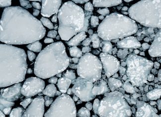 Paleoclimatologia: Cum ne ajută bulele de aer din gheața arctică să înțelegem trecutul ecologic.