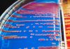 Terapia cu fagi: Virusurile bune care distrug bacteriile periculoase.