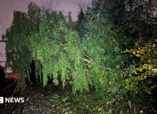 Vânturi de peste 130 km/h și mii de locuințe fără curent: Scoția pusă la încercare de furtuna Beolo 0 (0)