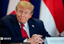 Cum a declanșat inițiativa lui Trump pentru „super inteligență” o avalanșă de domenii web în Slovenia