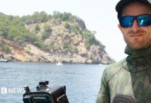 Surpriza unui cameraman: întâlnirea neașteptată cu o balenă cu cocoașă în largul Țării Galilor