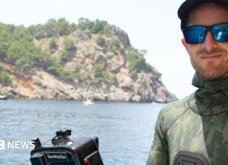 Surpriza unui cameraman: întâlnirea neașteptată cu o balenă cu cocoașă în largul Țării Galilor 0 (0)