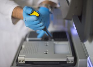 Cum reușește ciuperca Candida auris să păcălească tratamentele antifungice 5 (1)