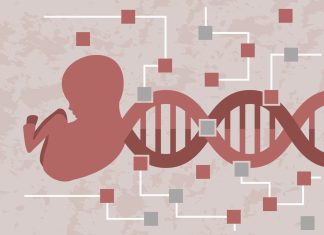 Ce se întâmplă cu intimitatea genetică a copiilor după testarea la naștere? 0 (0)