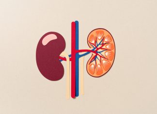 Primele semne ale leziunilor renale autoimune descoperite, deschizând calea spre tratamente țintite 0 (0)