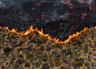 Ce facem după ce am depășit pragul de 1,5°C de încălzire globală? 0 (0)