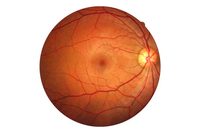 HumanEyeImage-990992114