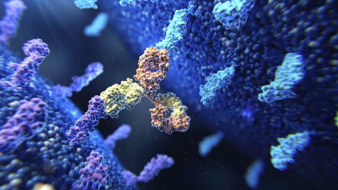 IPM_Feb2026_GettyImages_2147604931_BispecificAntibody