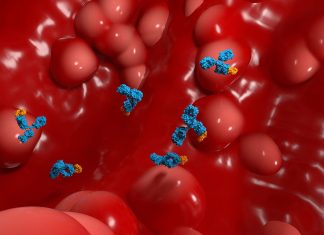 Anticorpii ar putea prezice riscul de boli inflamatorii intestinale cu un deceniu înainte de diagnostic 0 (0)