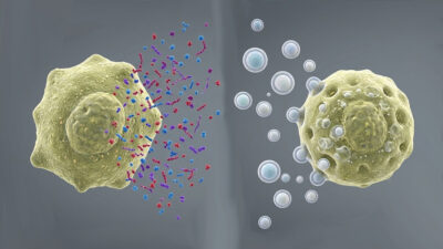 Proteins-or-extracellular-vesicles-400x225