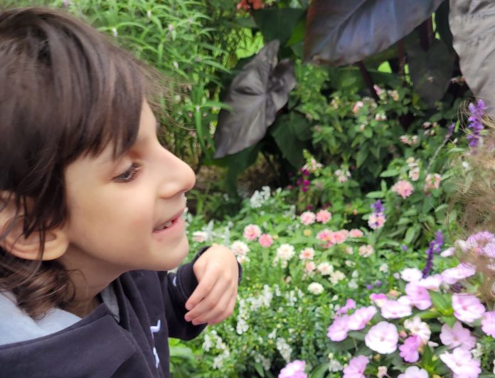 Riaan_2026_Flowers