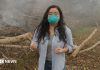 Fumul toxic din Indonezia: când incendiile de vegetație devin o criză regională