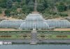 Cum se mută 1.300 de plante tropicale pentru reabilitarea spectaculoasă a Palm House de la Kew