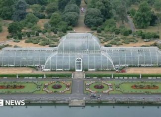 Cum se mută 1.300 de plante tropicale pentru reabilitarea spectaculoasă a Palm House de la Kew 0 (0)
