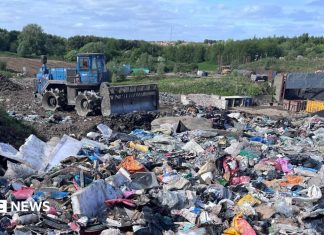 De ce reciclează Scoția tot mai puțin și ce putem învăța din asta 1.6 (5)