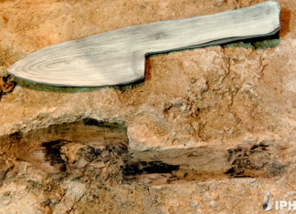 Unelte de lemn ale neanderthalienilor descoperite în piatră, în Spania 4.9 (23)